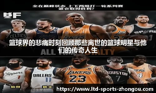 中欧体育官网
