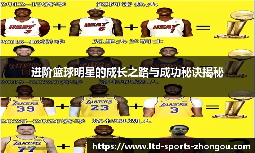 中欧体育平台